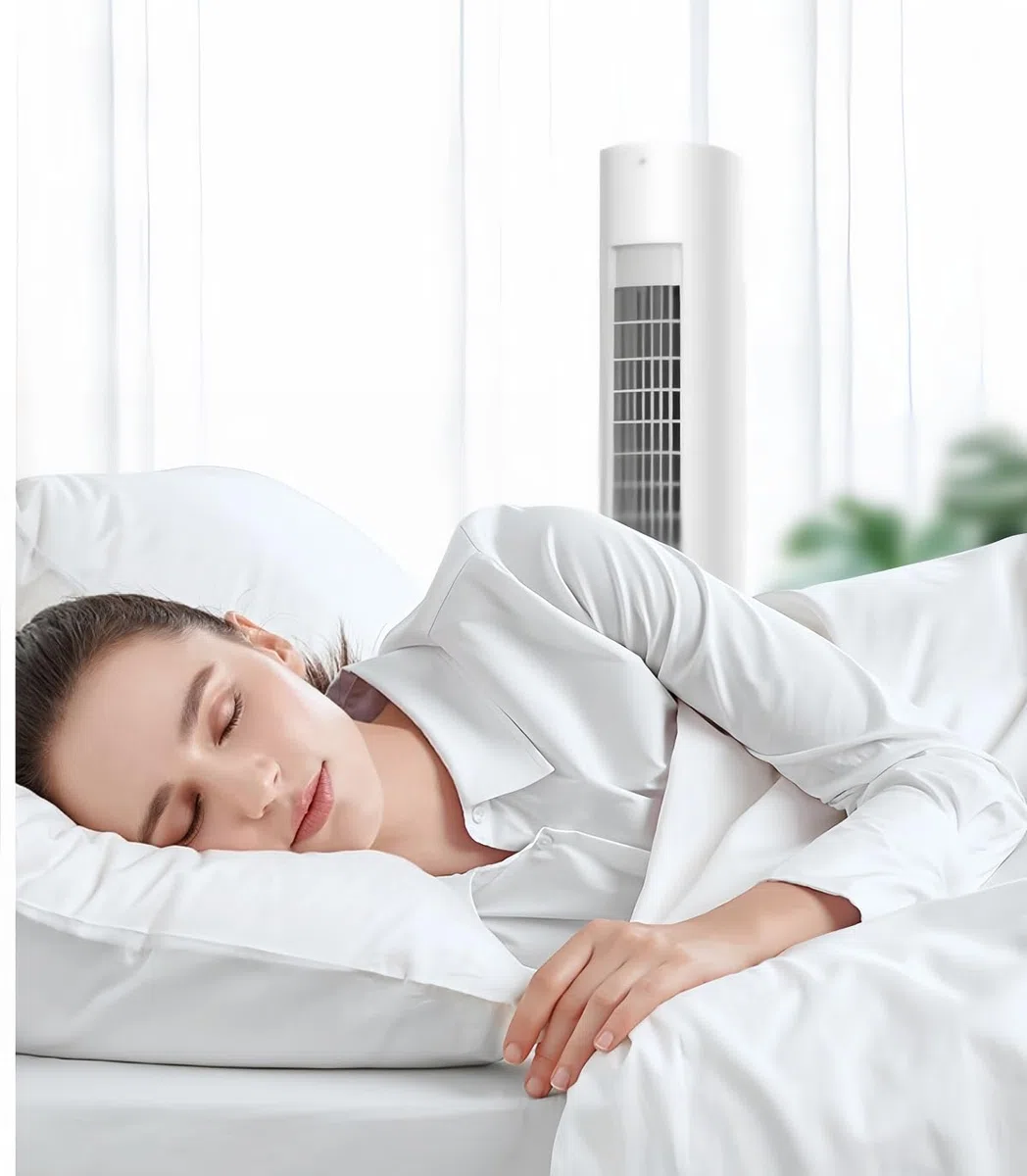 Climatiseur Portable 4 en 1 avec Ventilateur de Purification et Refroidissement intégré