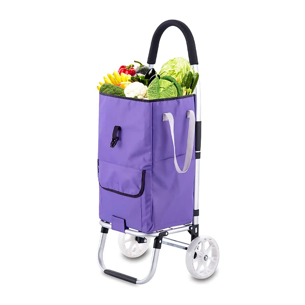 Sac à roulettes Pliable Panier Amovible À toute épreuve 65kg avec 2 grandes roues silencieux grande 45L Caddie 2 en 1 Alliage daluminium avec socle pour supermarché Voyage Pique-nique